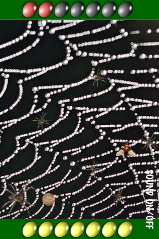 Screenshot Spider's Web Screenshot Spider's Web